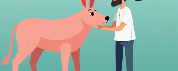 can-lexapro-cause-gas-or-bloating